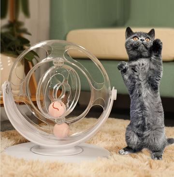 Interactive 360° Rotating Cat Toy – Transparent Orb Track Ball Game