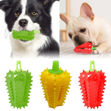 Bell Pepper Chew Toy for Dogs – Spiky Dental Toy & Treat Dispenser