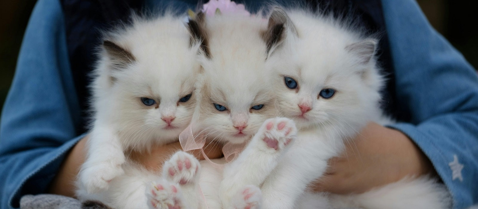 slider image slider_item_qXE3HB