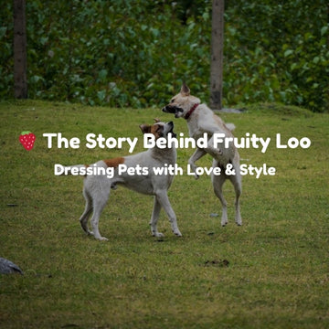 🍓 The Story Behind Fruity Loo: Dressing Pets with Love & Style