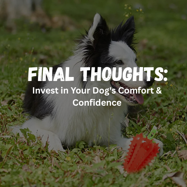 Final Thoughts: Invest in Your Dog's Comfort & Confidence