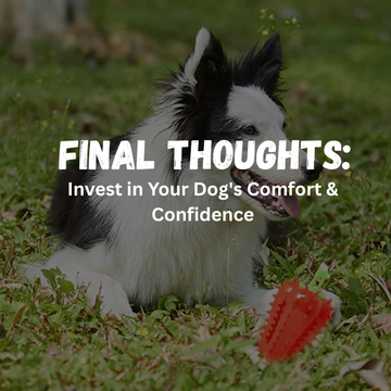 Final Thoughts: Invest in Your Dog's Comfort & Confidence