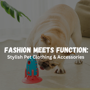 Fashion Meets Function: Stylish Pet Clothing & Accessories
