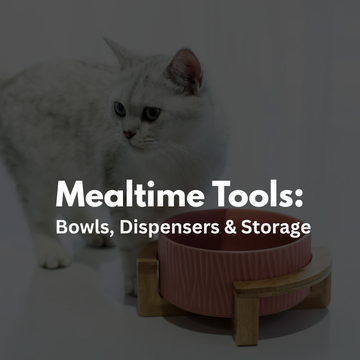 Mealtime Tools: Bowls, Dispensers & Storage