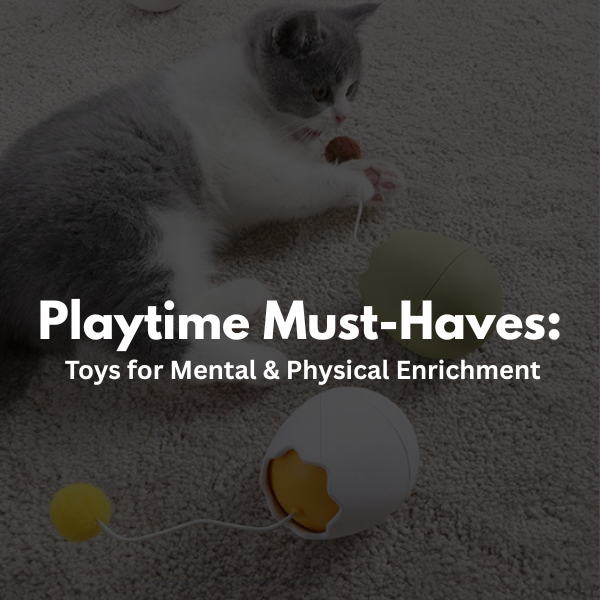 Playtime Must-Haves: Toys for Mental & Physical Enrichment