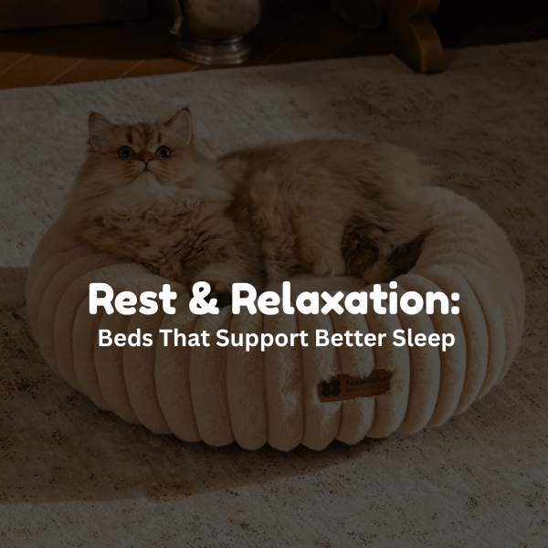 Rest & Relaxation: Beds That Support Better Sleep