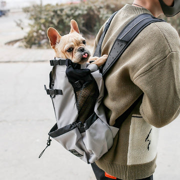 Hands-Free Pet Travel Backpack – Breathable, Adjustable, Secure Dog & Cat