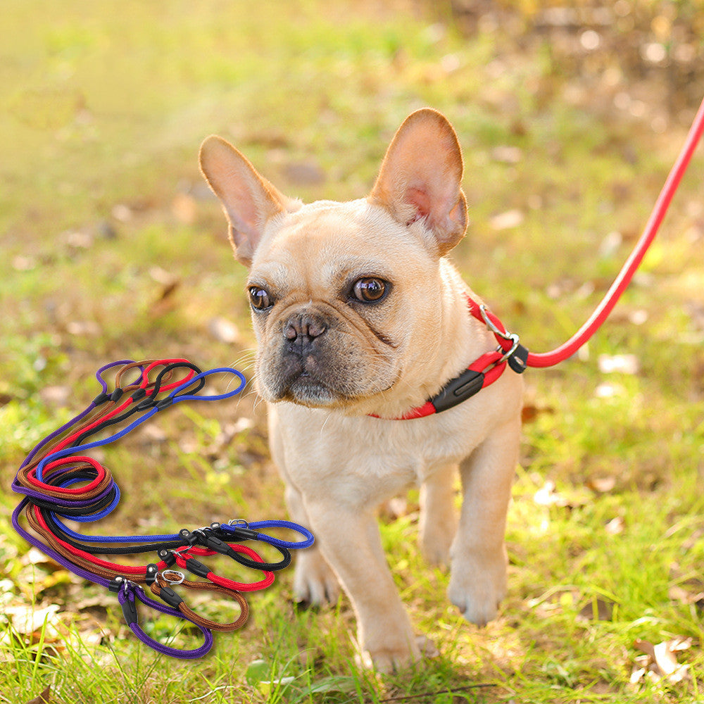 No-Pull Dog Leash & Harness Set – Adjustable Rope Leash for Small to Medium Dogs