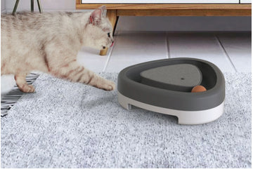 Interactive Cat Toy with Rolling Ball & Scratcher – Triangle Track Puzzle for Indoor Cats