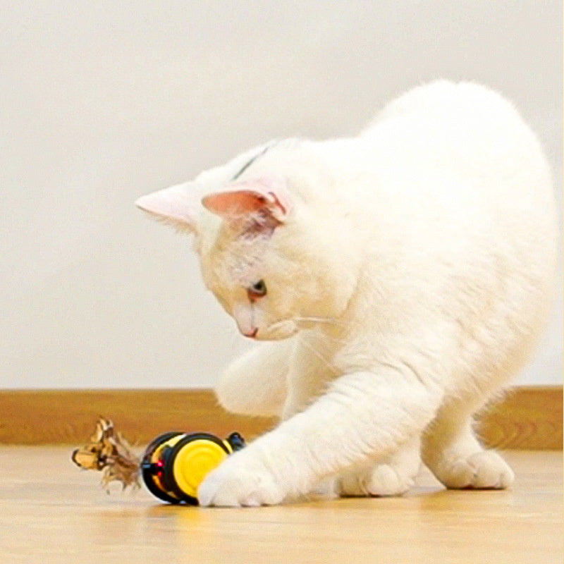 Automatic Rolling Bee Cat Toy – Interactive Feather Chase Toy for Cats & Kittens