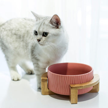 Modern Elevated Ceramic Cat Bowl with Bamboo Stand – Non-Slip Stylish Feeder for Cats & Small Pets