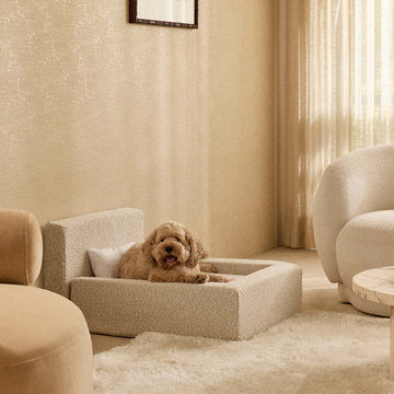 Luxury Bouclé Dog Sofa Bed – Modern Raised Pet Lounge with Backrest & Pillow