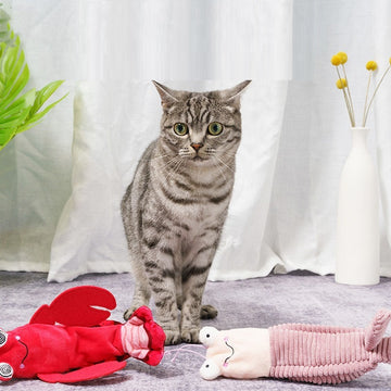 Plush Cat Toys with Catnip – Interactive Chew & Kick Toys for Cats & Kittens
