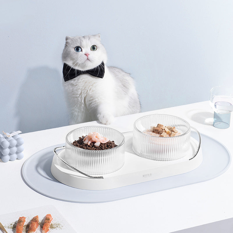 Elevated Dual Pet Bowl Set – Modern Glass Design for Cats & Small Dogs