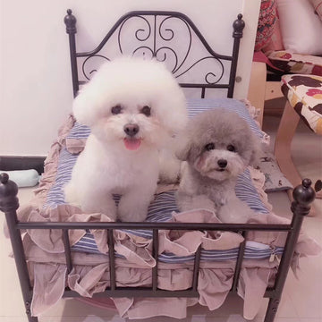 Luxury Iron Frame Pet Bed with Plush Cushion – Cozy Comfort for Small Dogs & Cats