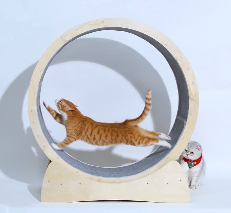 Wooden Cat Exercise Wheel – Large Indoor Cat Running Treadmill for Active Play