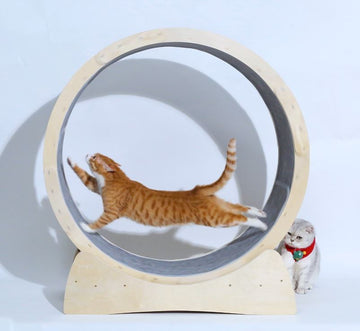 Wooden Cat Exercise Wheel – Large Indoor Cat Running Treadmill for Active Play
