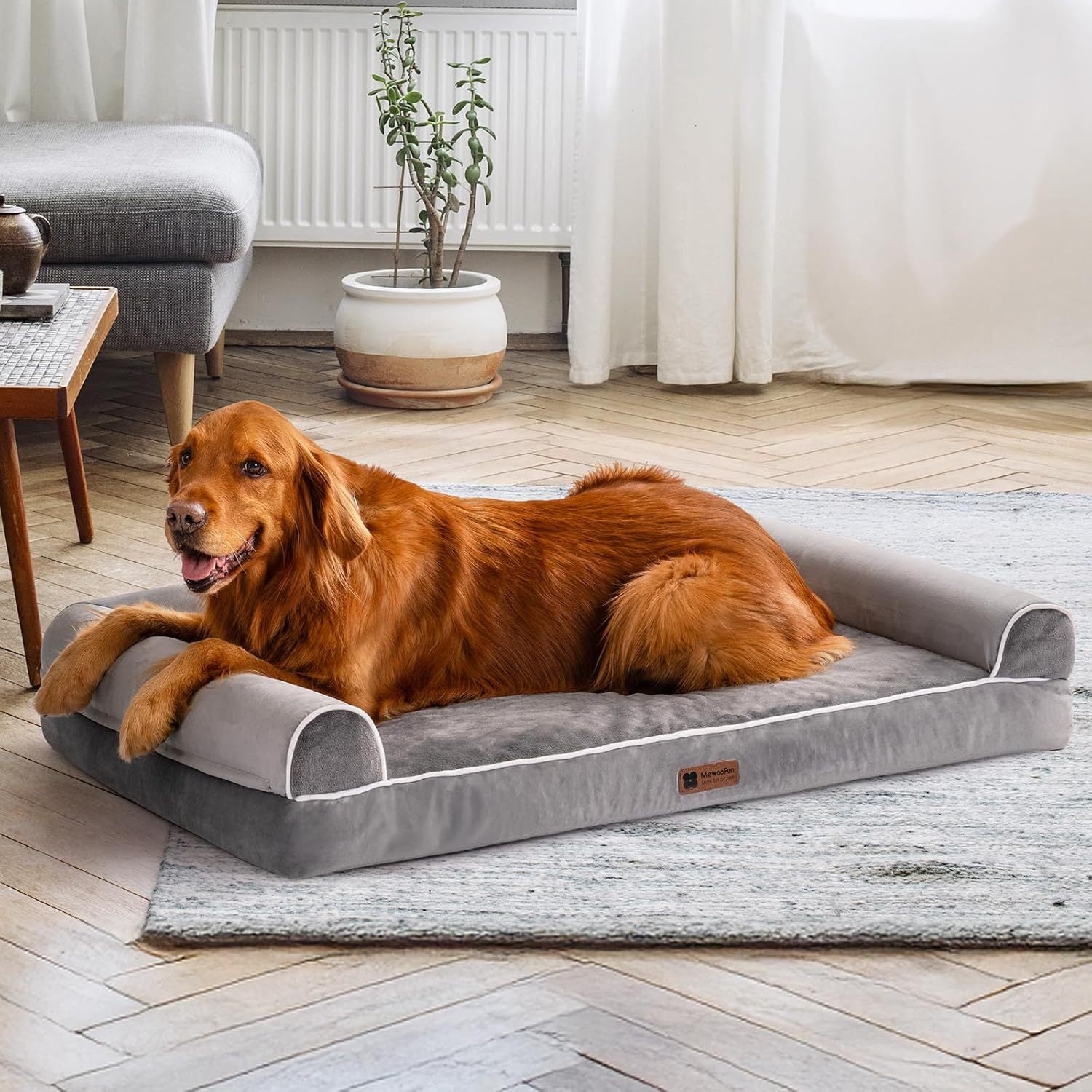 Luxury Orthopedic Dog Bed with Bolsters – Memory Foam Sofa Bed