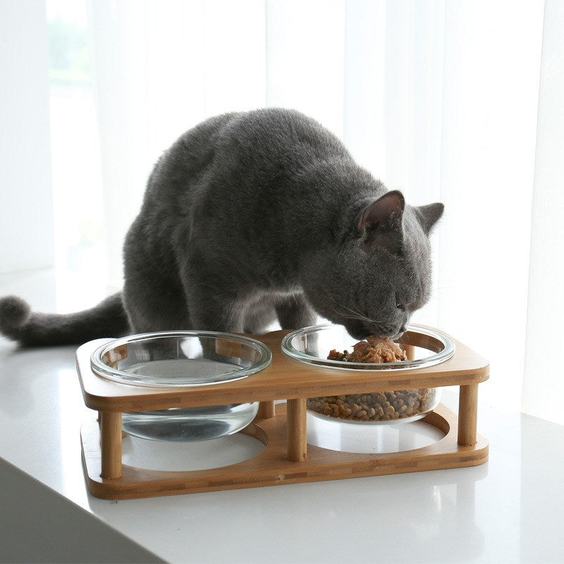 Elevated Glass Cat Bowls with Bamboo Stand – Modern Raised Feeder Set for Food & Water