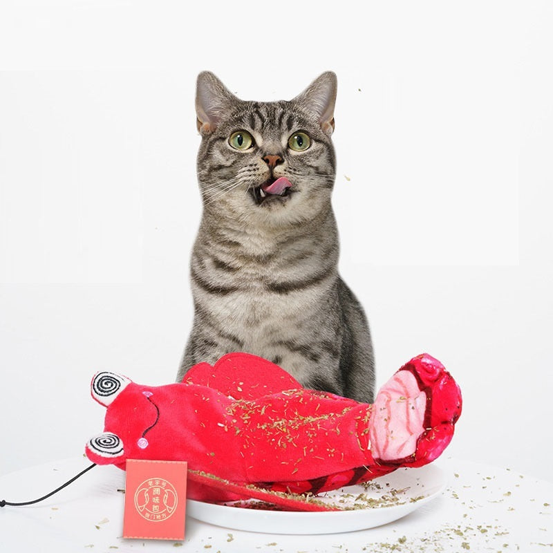 Plush Cat Toys with Catnip – Interactive Chew & Kick Toys for Cats & Kittens