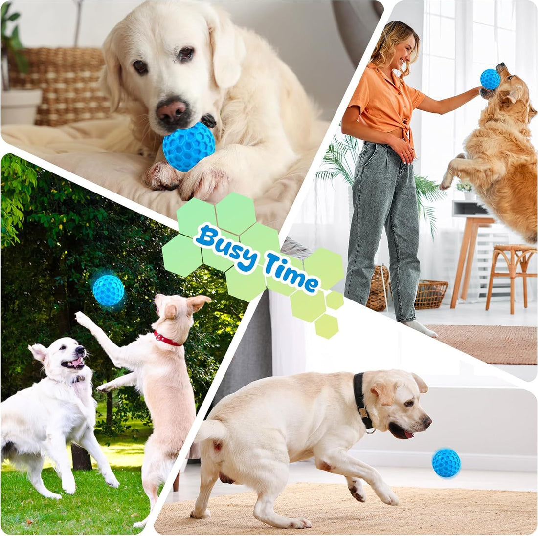 Durable Squeaky Ball Dog Toy – Interactive Bouncy Chew Ball for Medium & Large Dogs