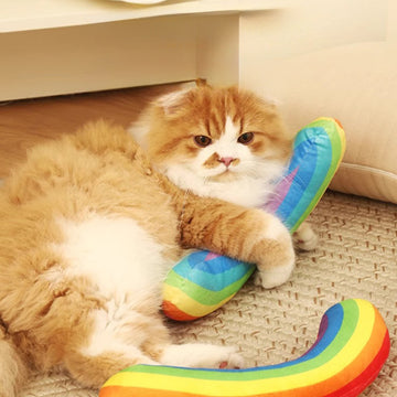 Rainbow Cat Kicker Toy with Catnip – Plush Kick & Hug Pillow for Cats & Kittens
